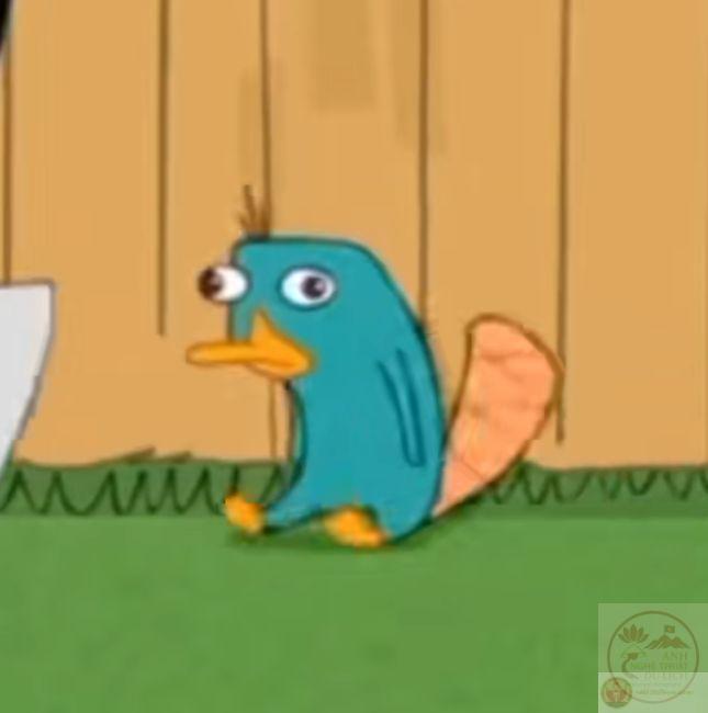 Người xem bật cười khi thấy thú mỏ vịt được chế lại cực kỳ dí dỏm