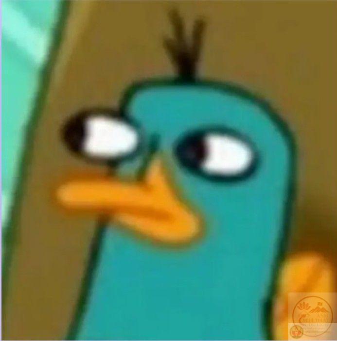 Một phiên bản thú mỏ vịt chế lầy lội khiến cư dân mạng bật cười liên tục