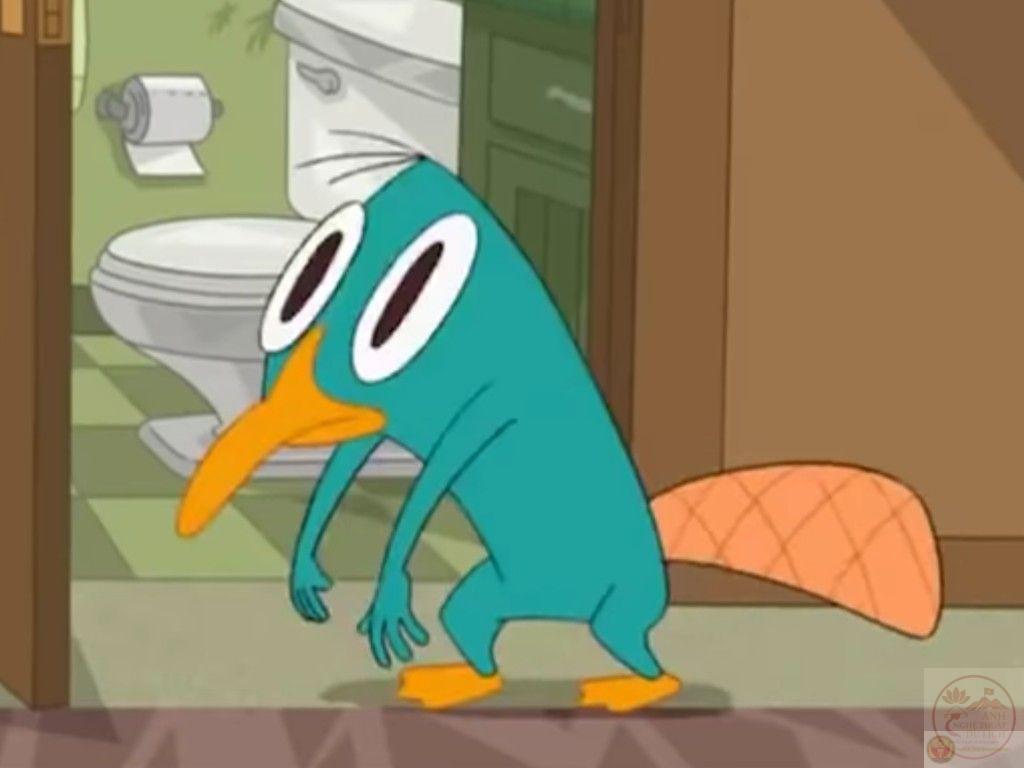 Một hình chế thú mỏ vịt tinh nghịch khiến người xem khó nhịn được cười