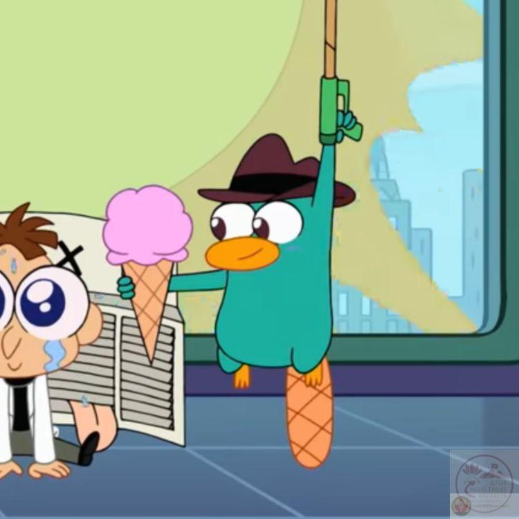 Một bức ảnh thú mỏ vịt chế bất ngờ khiến cuộc trò chuyện thêm thú vị