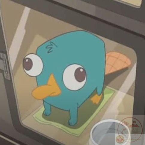 Meme thú mỏ vịt đáng yêu tạo ra nguồn cảm hứng mới mẻ cho người sử dụng