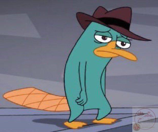 Meme thú mỏ vịt cute khiến người xem thích thú và dễ dàng chia sẻ