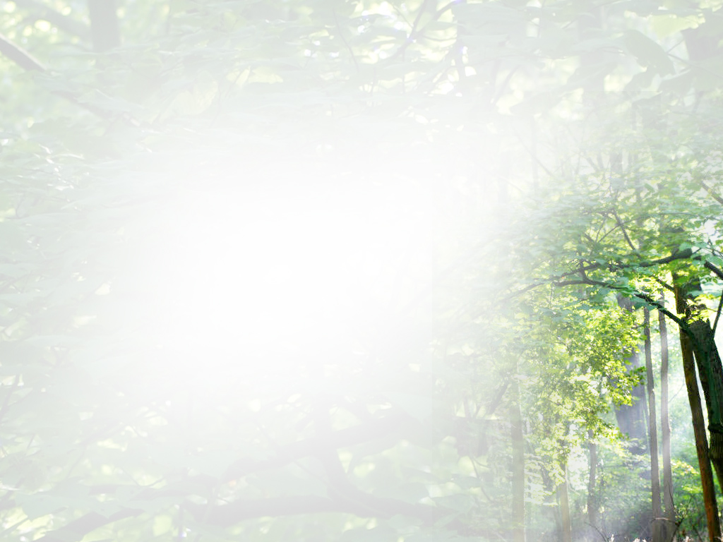 Hình nền Powerpoint giáo án điện tử đẹp