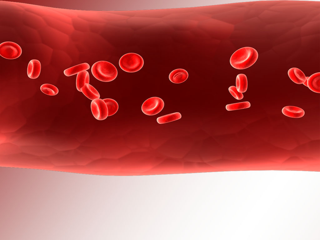 Hình nền Powerpoint sinh học đẹp