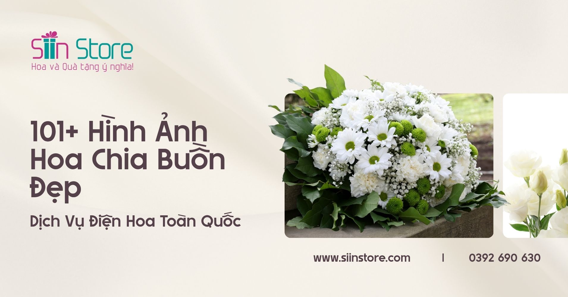 hình ảnh hoa chia buồn đám tang