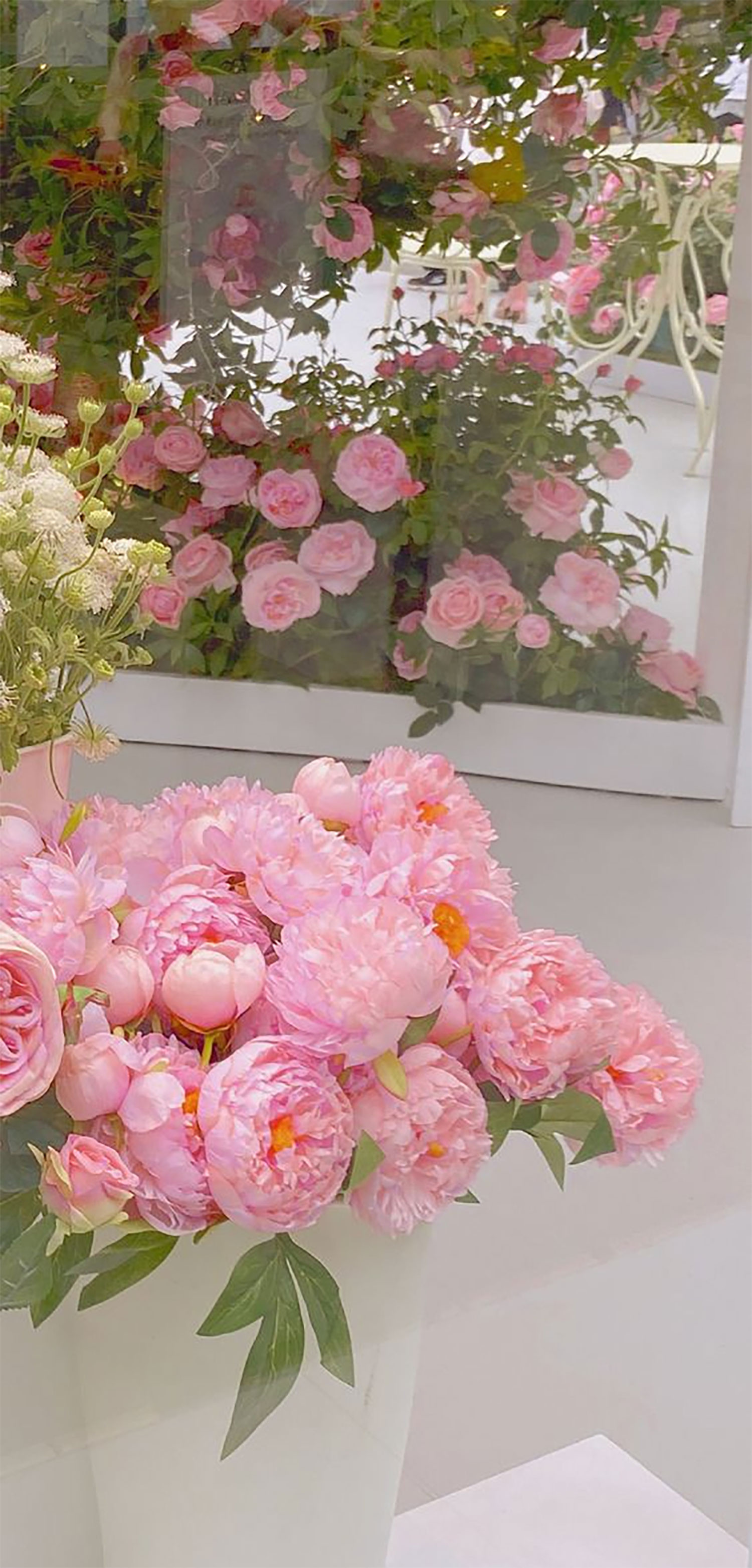 hinh-nen-hoa-mau-don-13