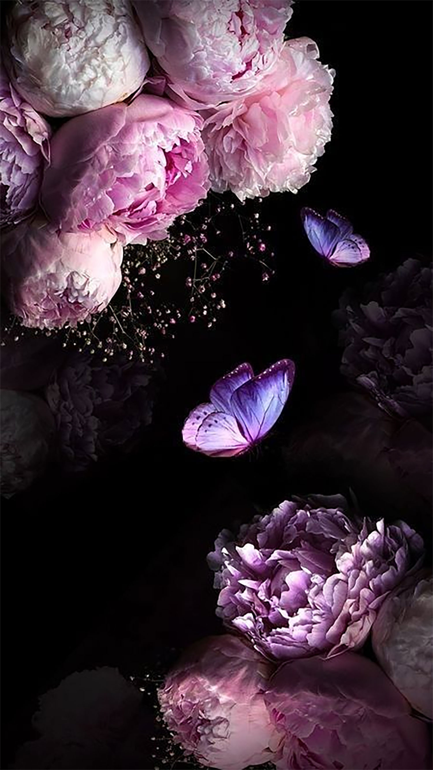 hinh-nen-hoa-mau-don-18