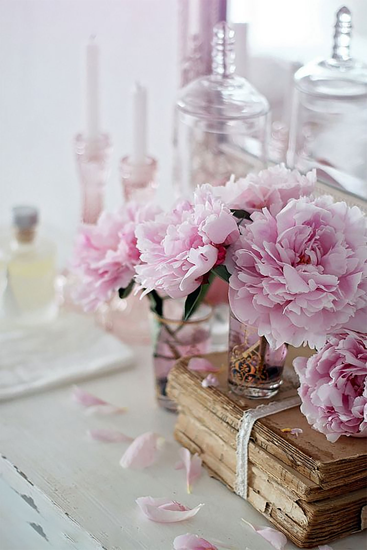 hinh-nen-hoa-mau-don-23