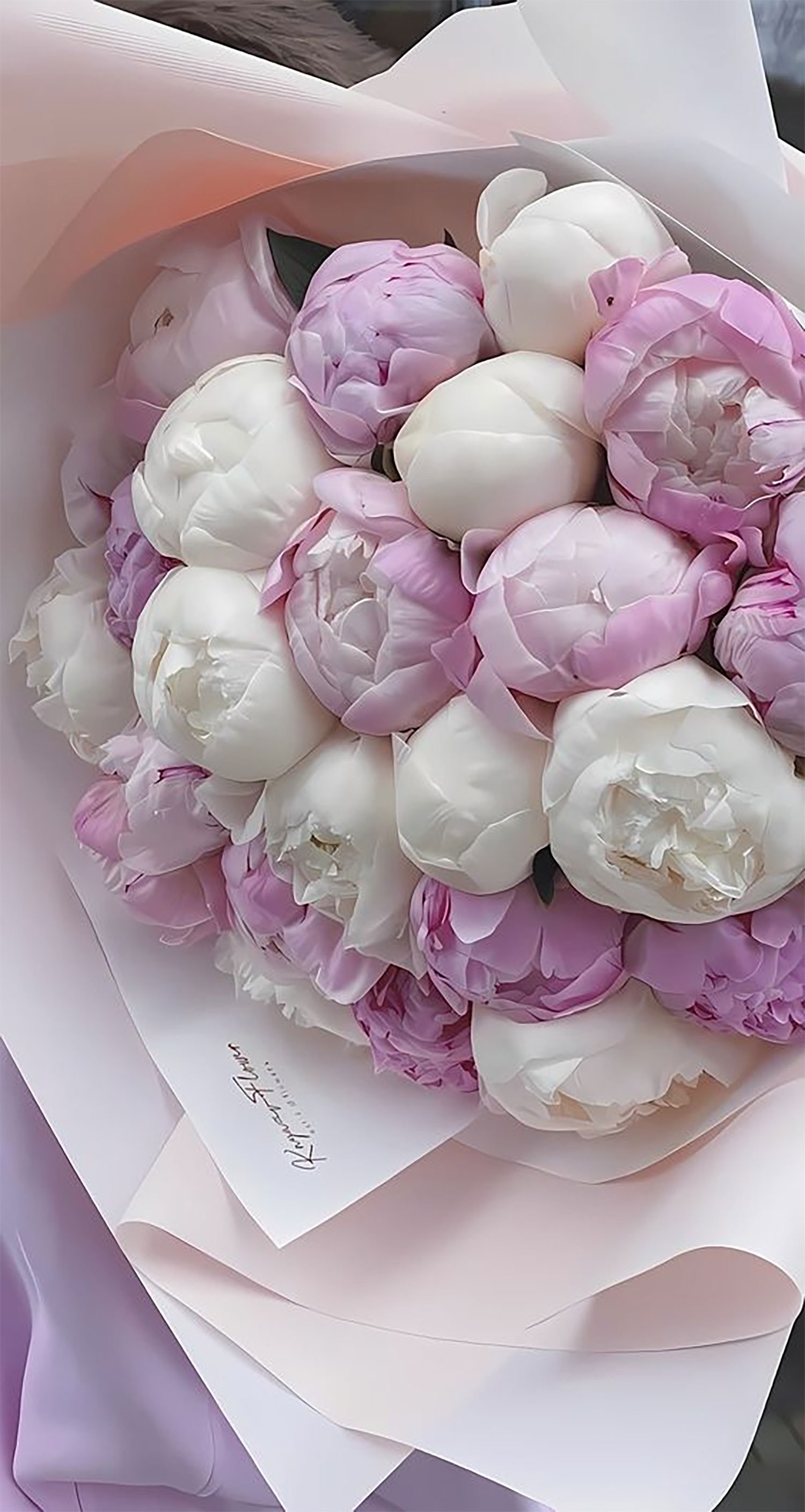 hinh-nen-hoa-mau-don-288