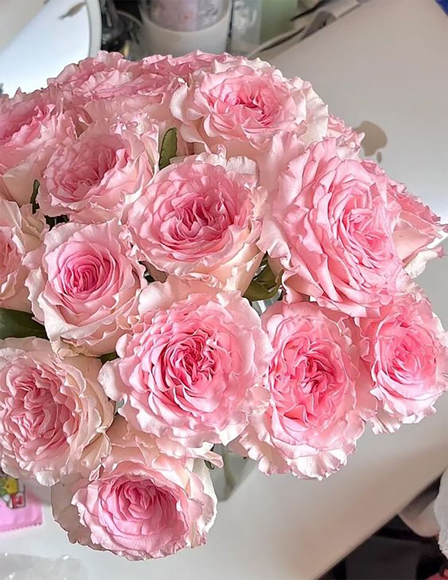 hinh-nen-hoa-mau-don-299