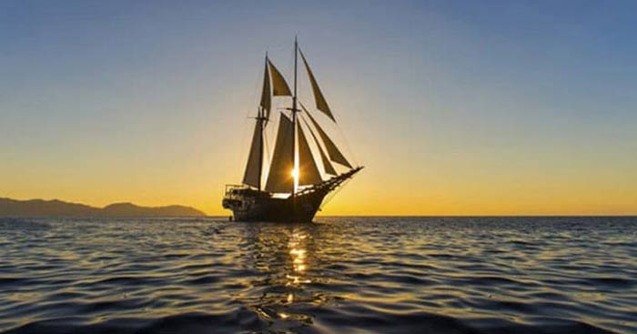 hoan canh sang tac rung xa nu