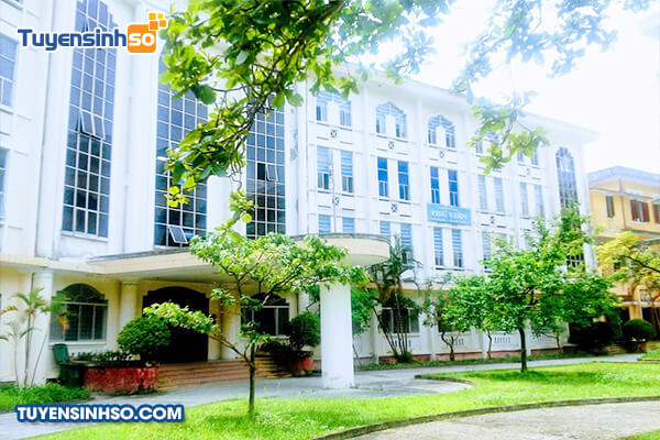 Đại học Khoa học - Đại học Huế