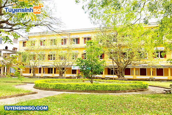 Đại học Khoa học - Đại học Huế