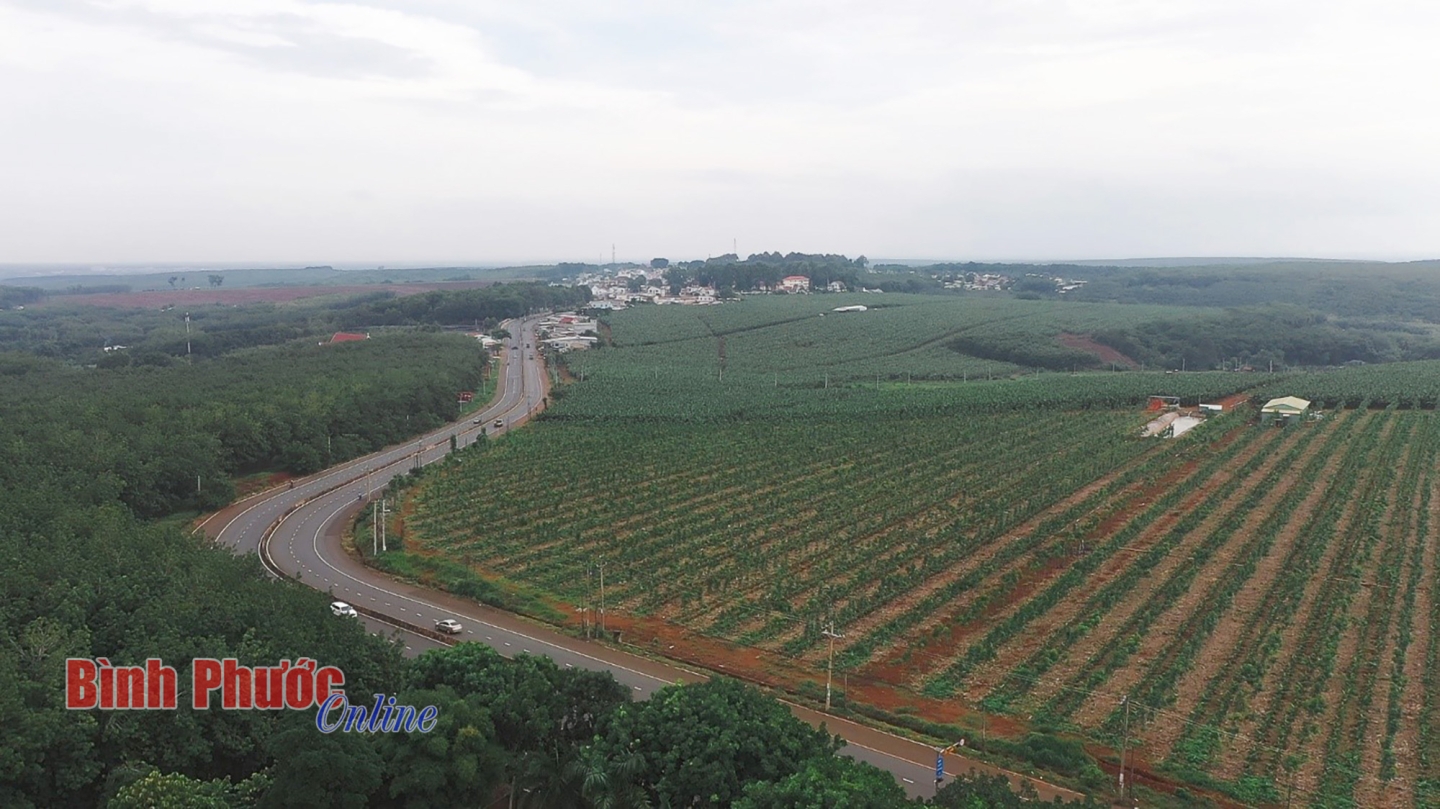 Quy hoạch tỉnh Bình Phước 22:34, 27/10/2024 GMT+7