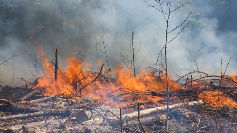 Khí metan có độc không? Một số thông tin về khí metan bạn cần biết 3