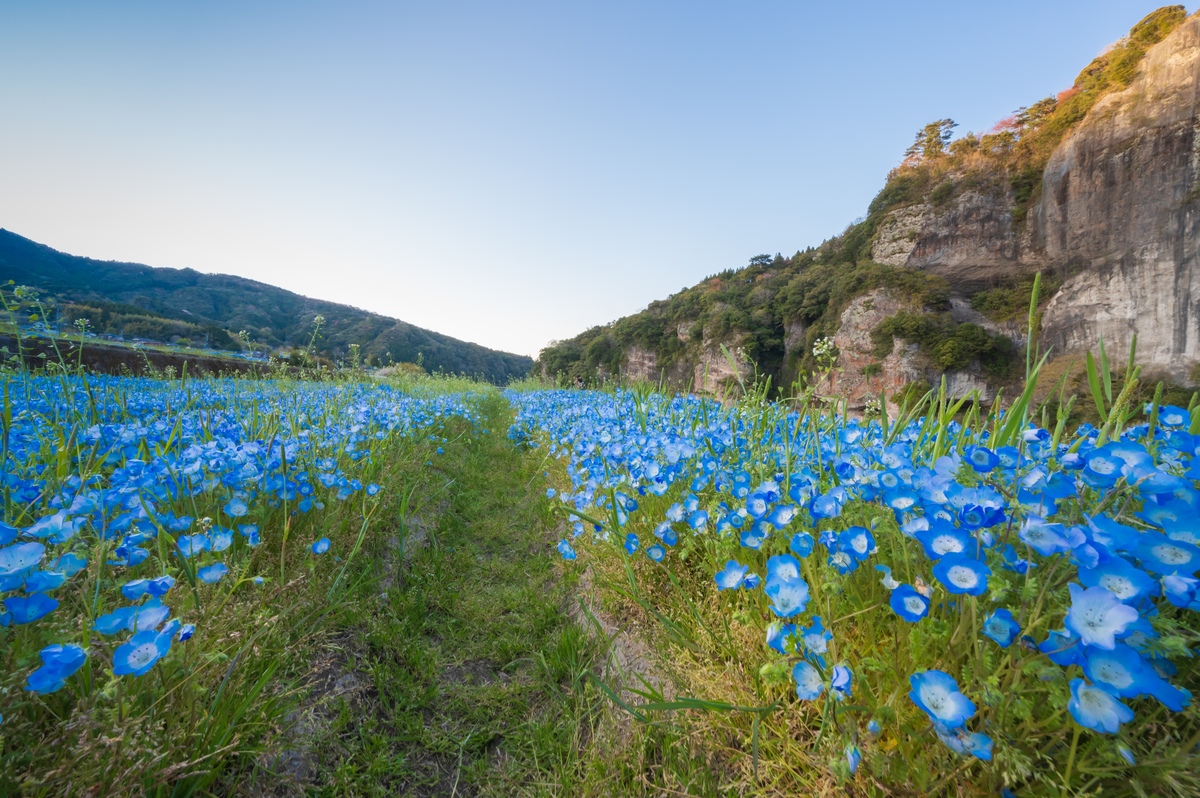 Yabakei (Oita): hẻm núi đá kỳ vĩ, mùa lá đỏ, Ao no Domon & cung đường lái xe tham quan