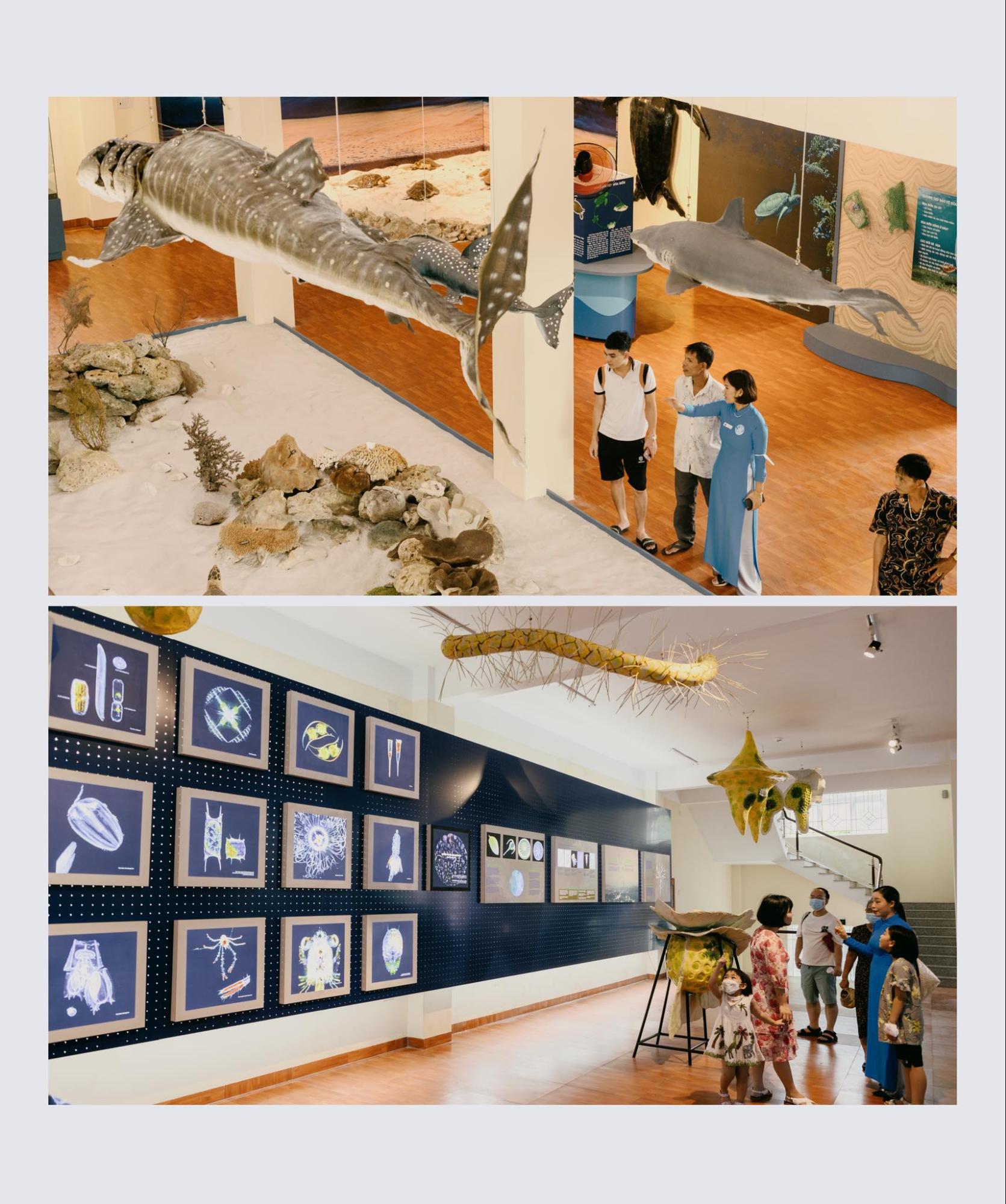 địa điểm du lịch ở Nha Trang