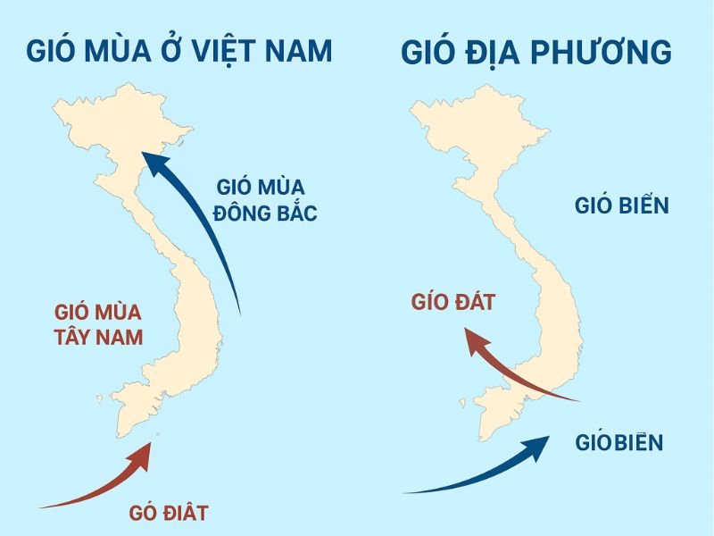 cac-loai-gio-o-viet-nam-1