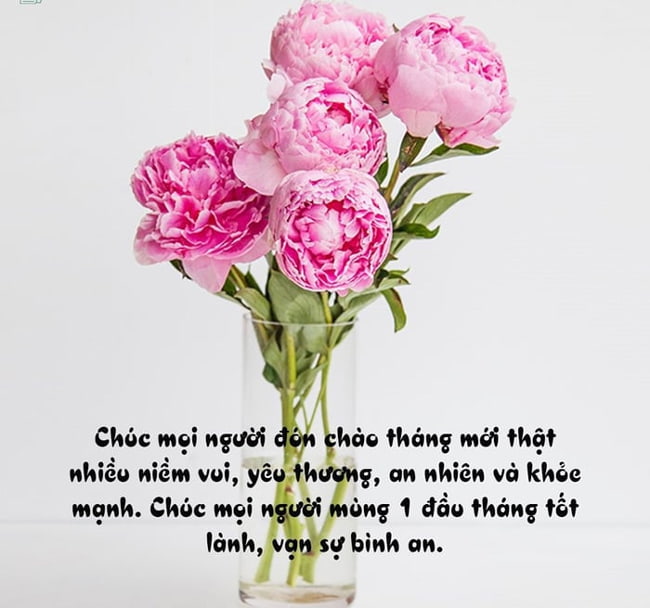 Lời chúc mùng 1 đầu tháng cho dân kinh doanh may mắn, hài hước