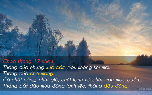Stt về tháng 12