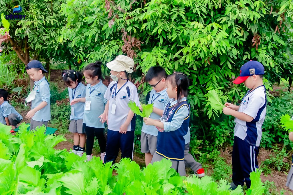 lop-4-hoc-nhung-mon-gi-