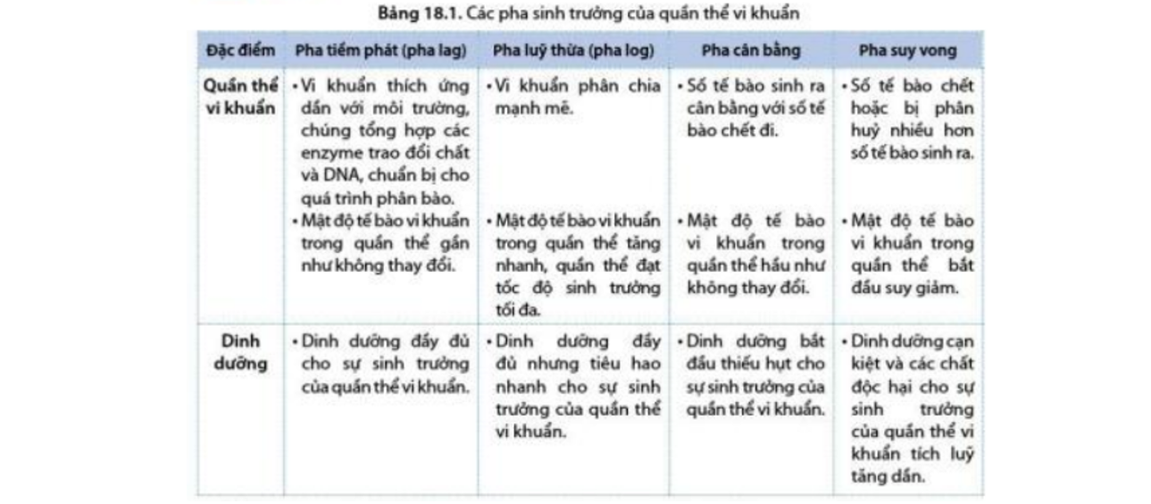 Lý thuyết sinh trưởng và sinh sản ở vi sinh vật - Sinh 10 Cánh diều</>