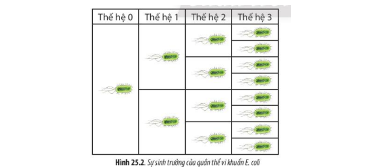 Lý thuyết sinh trưởng và sinh sản ở vi sinh vật - Sinh 10 Cánh diều</>