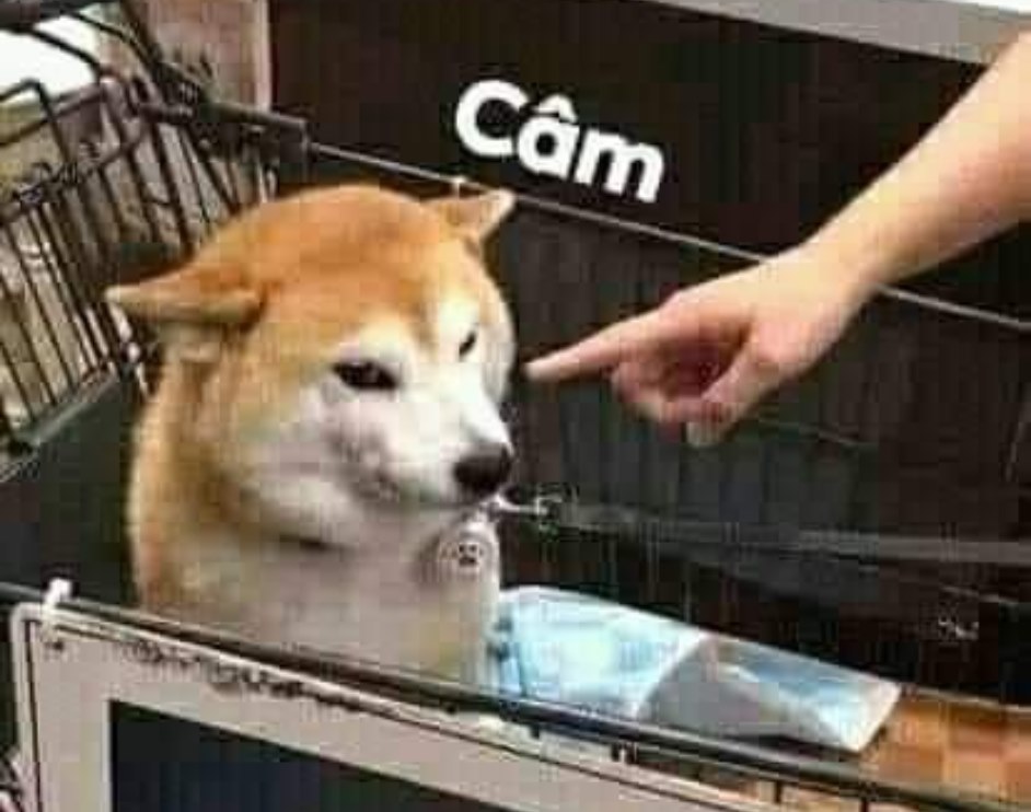 Đừng nói nữa, mạng đã đủ loạn lắm rồi