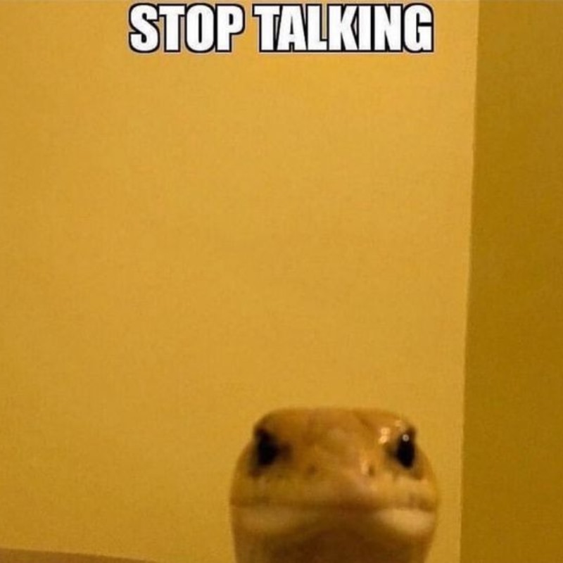 Câu nói của mày làm loãng luôn trí tuệ nhân tạo