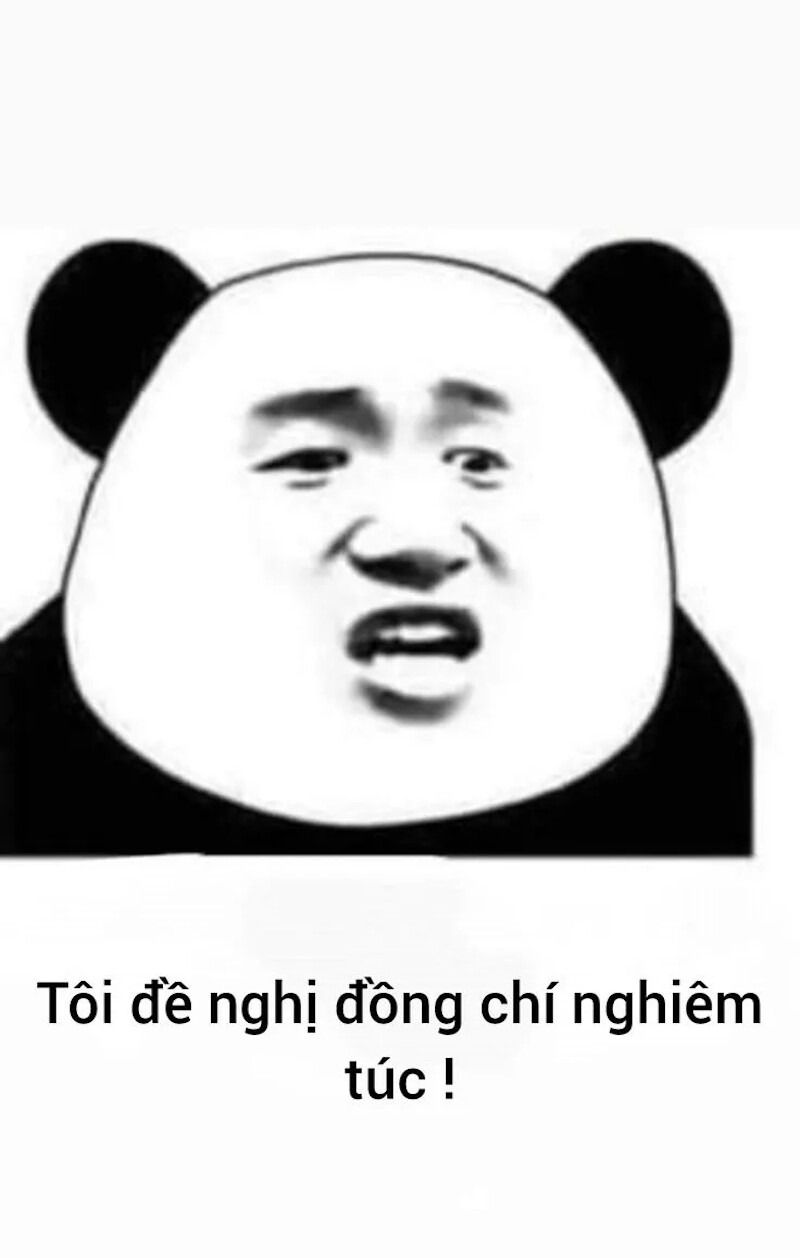Meme gấu trúc hành động đáng yêu