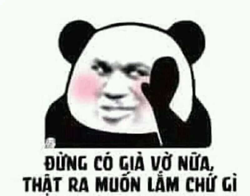 Meme gấu trúc hành động đáng yêu