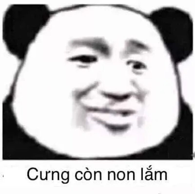 Meme gấu trúc hiện đại