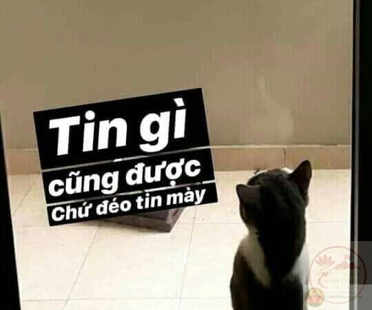 Một câu nói tưởng bình thường nhưng trở thành tiếng vang khắp cộng đồng.