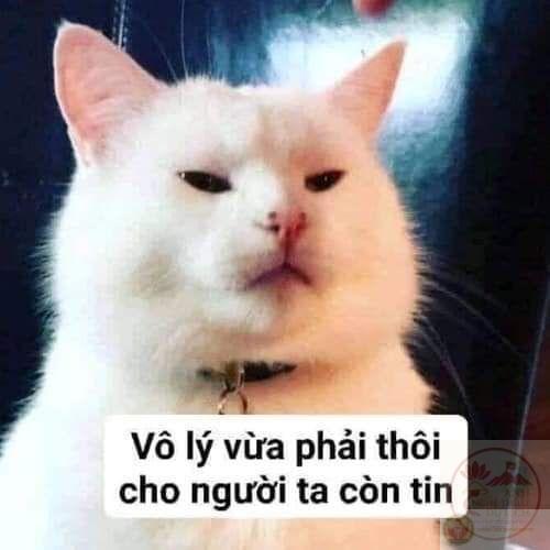 Niềm vui đôi khi bắt đầu từ một câu nói rất ngẫu hứng.