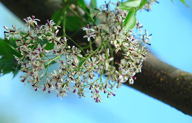 Đọc hiểu Mộ xuân tức sự