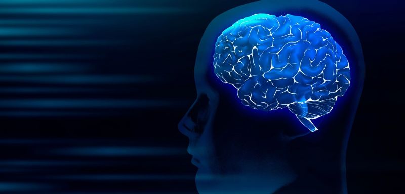 Ứng dụng của trí tuệ nhân tạo