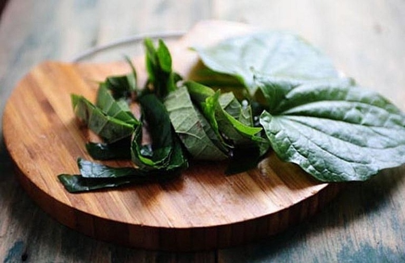 Lá lốt được rửa sạch và cắt nhỏ