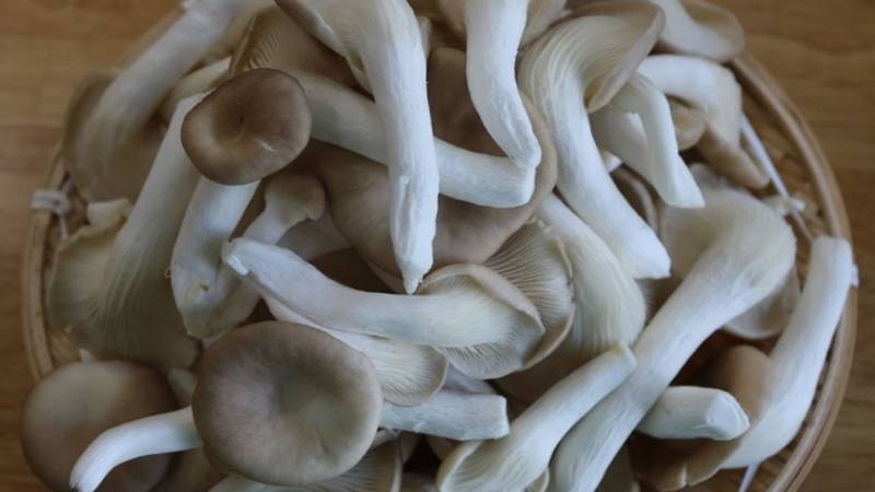 Nấm bào ngư được ngâm với nước muối loãng