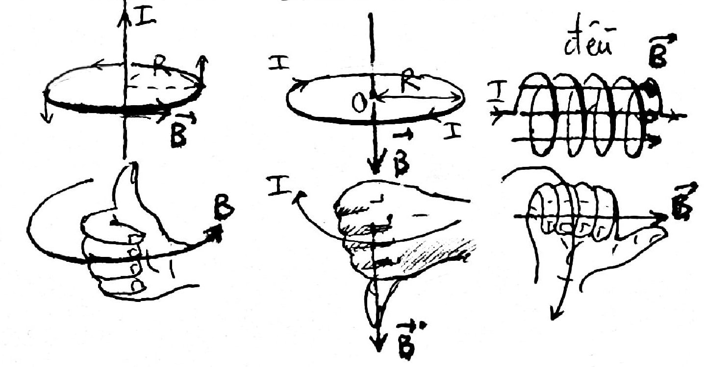 Phát biểu quy tắc bàn tay phải (quy tắc nắm bàn tay phải)