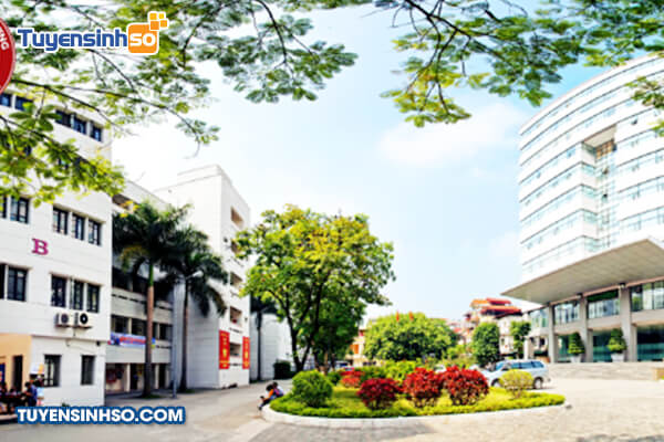 nganh cua dai hoc ngoai thuong 3