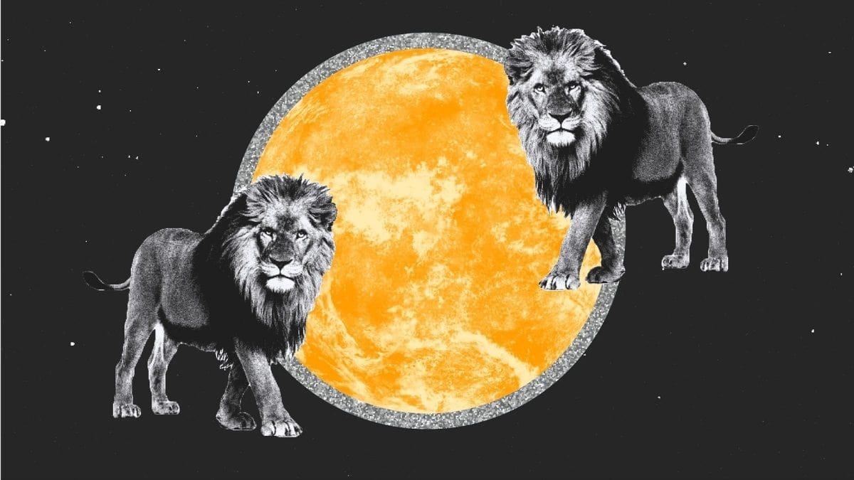 Ngày 24/7 thuộc cung hoàng đạo nào?