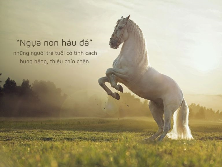 ngua non hau da la gi