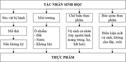 nguy co thuc pham bi o nhiem la do yeu to nao