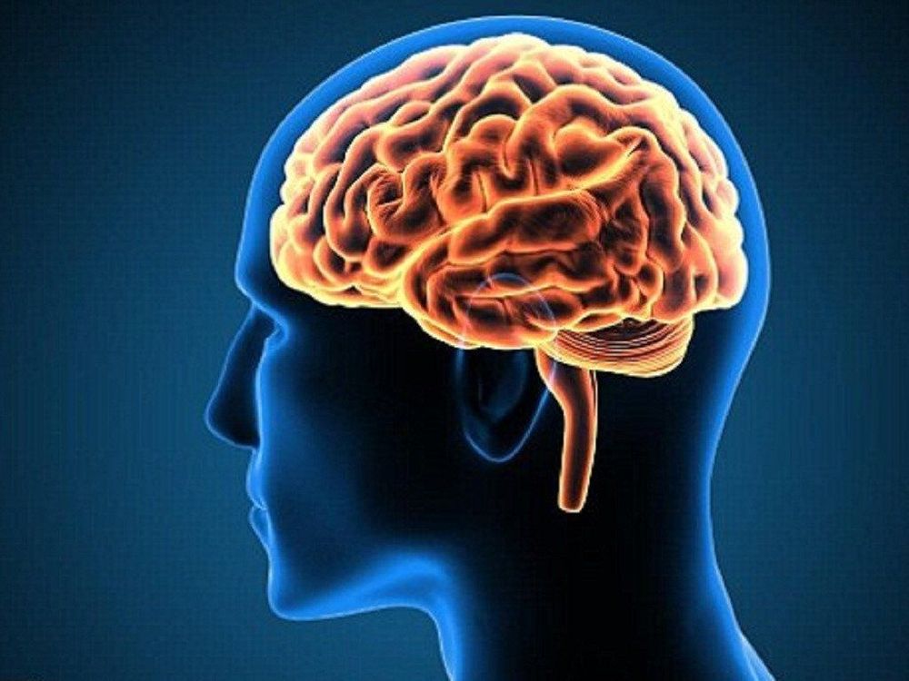 Kali giúp hệ thống thần kinh chuyển các tín hiệu não và cơ thể đều đặn