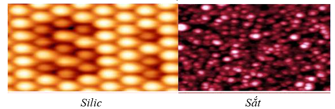 nguyen tu duoc cau tao nhu the nao