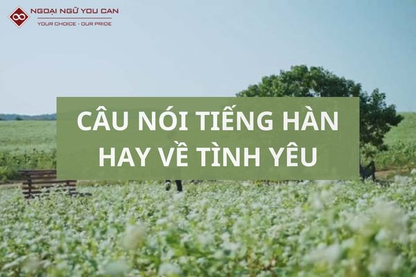 cau tieng han hay