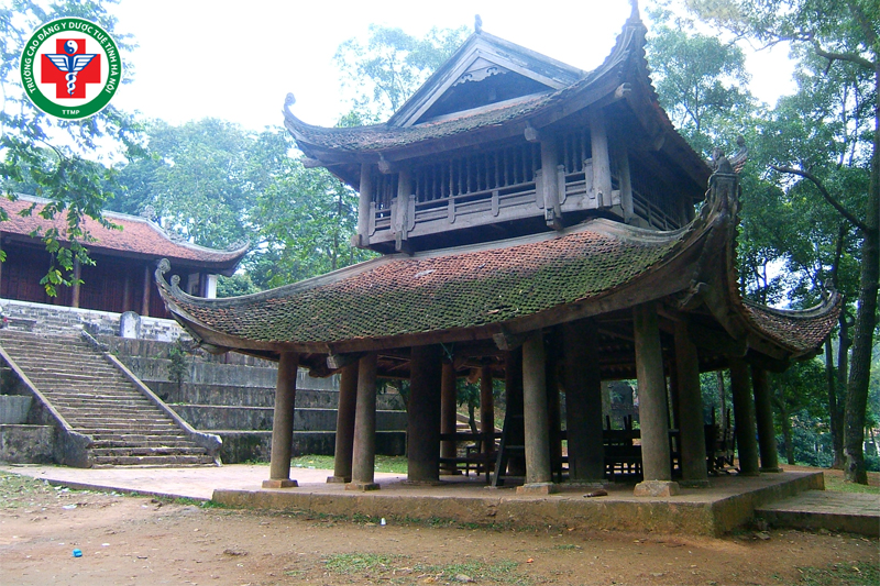 Tuệ Tĩnh về chùa Nghiêm Quang tu lấy pháp sau khi đỗ Thái học sinh