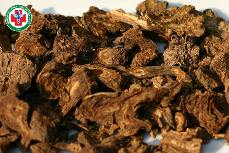 Bài thuốc Thang Xung hòa khương hoạt được dùng khi nhức đầu