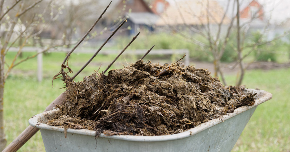 Phan Chuong Phan Bon Huu Co Sfarm