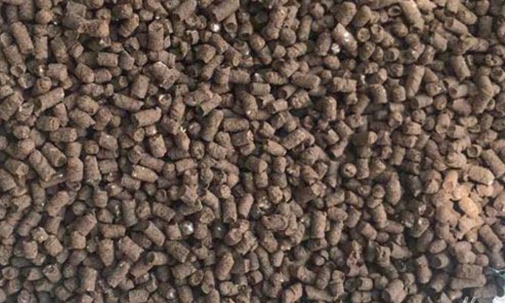 Phân gà được sản xuất theo dây chuyền chuẩn Nhật Bản